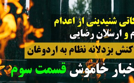 از پرپر شدن  زم تا درخواست کمک از آنجلینا جولی