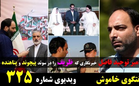 گفتگوی خاموش با امیر توحید فاضل - خبرنگار اعزامی ظریف که در اروپا پناهنده شد