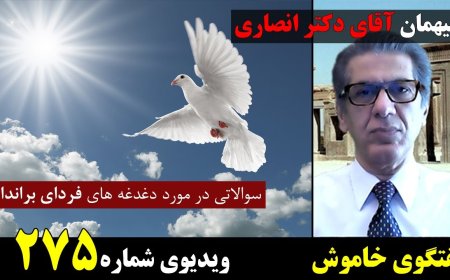 مصاحبه من با دکتر ایمان انصاری و پاسخ ایشان به دغدغه های فردای براندازی